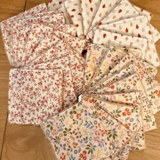 Lingettes 10x10